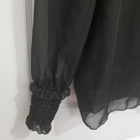 Romantic Rose Lace Yoke Sheer Blouse - Picture 4 of 5